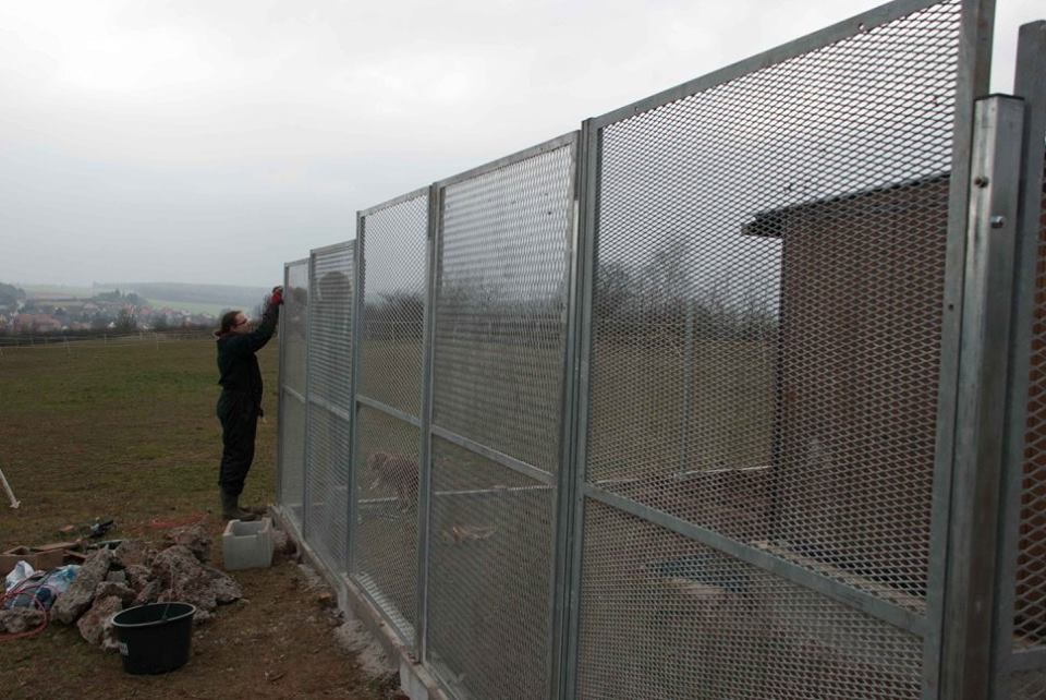 Oplocení výběhů pro psy - Voříškov