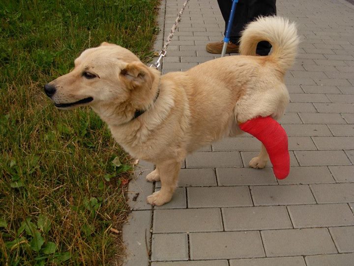 Příspěvek na operaci Filipa