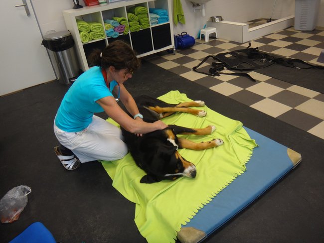 Léčba a rehabilitace ochrnutého Jamese