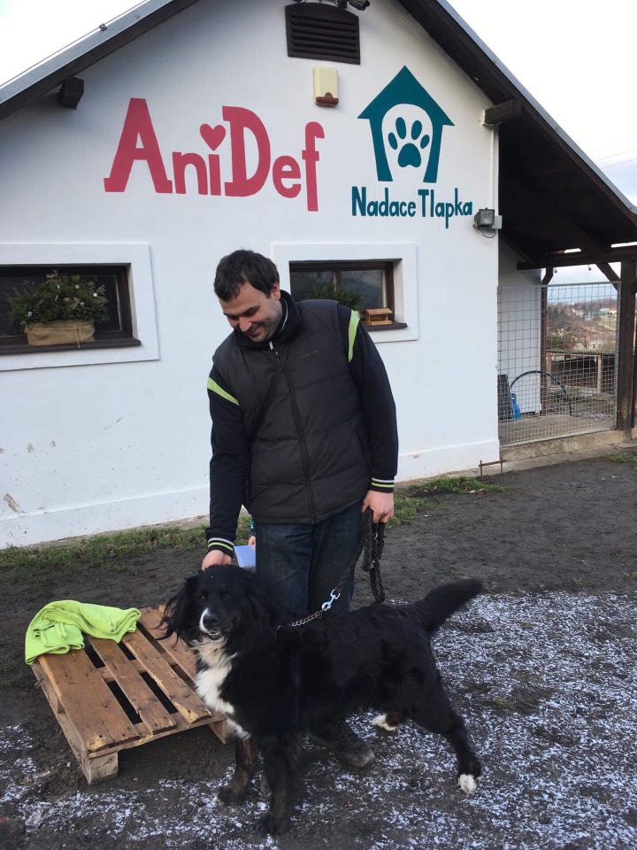 Veterinární ošetření psů Toryho, Bada a fenky Barunky - útulek Žim