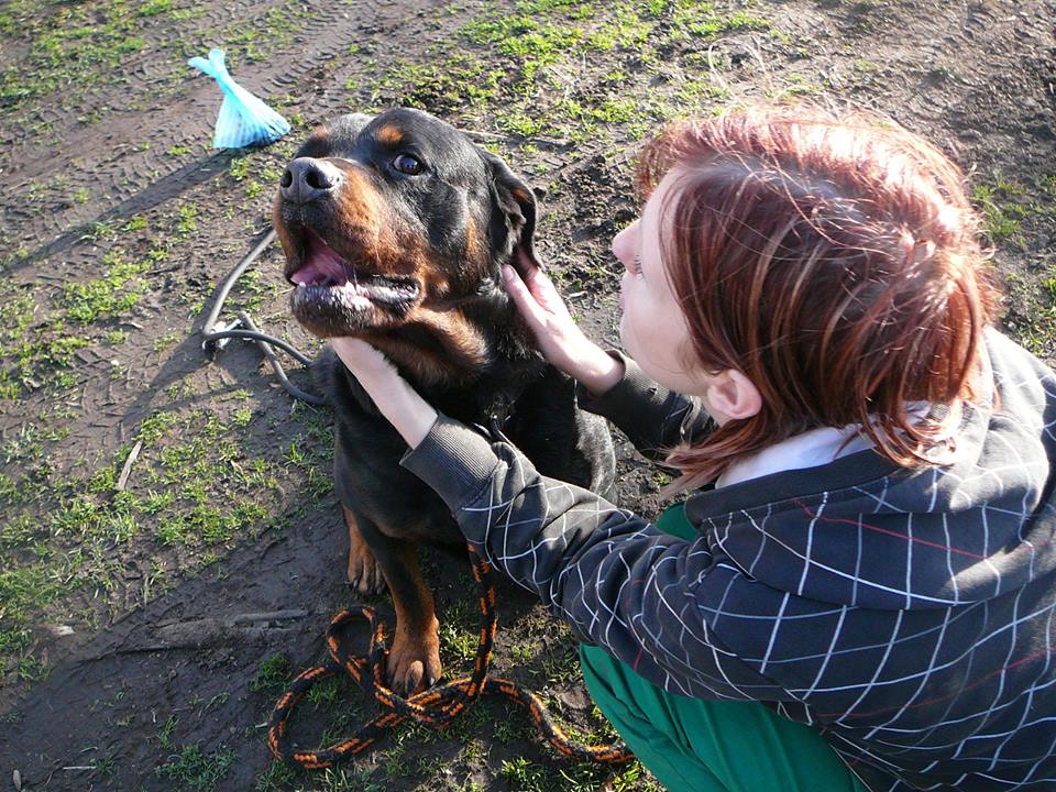 Úhrada veterinární péče pejsků azylu  RTW naše láska, jejich naděje.