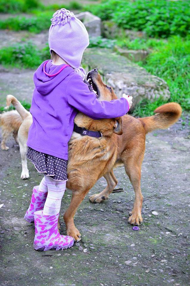 Částečná úhrada operace Scoobyho