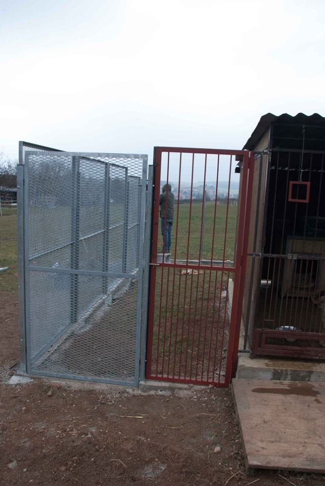 Oplocení výběhů pro psy - Voříškov