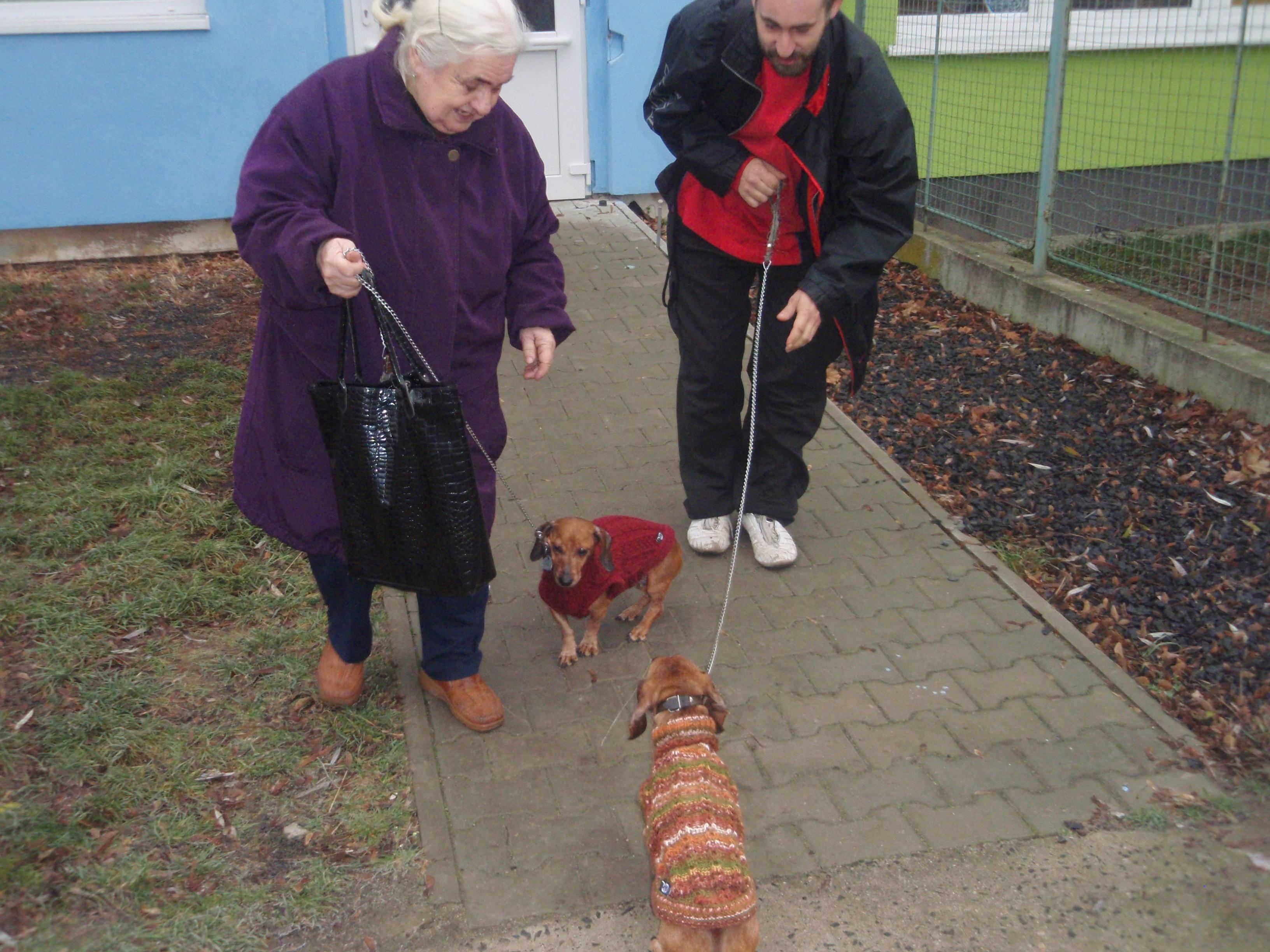 Příspěvek na veterinární péči dvou jezevčíků - Mija spolek