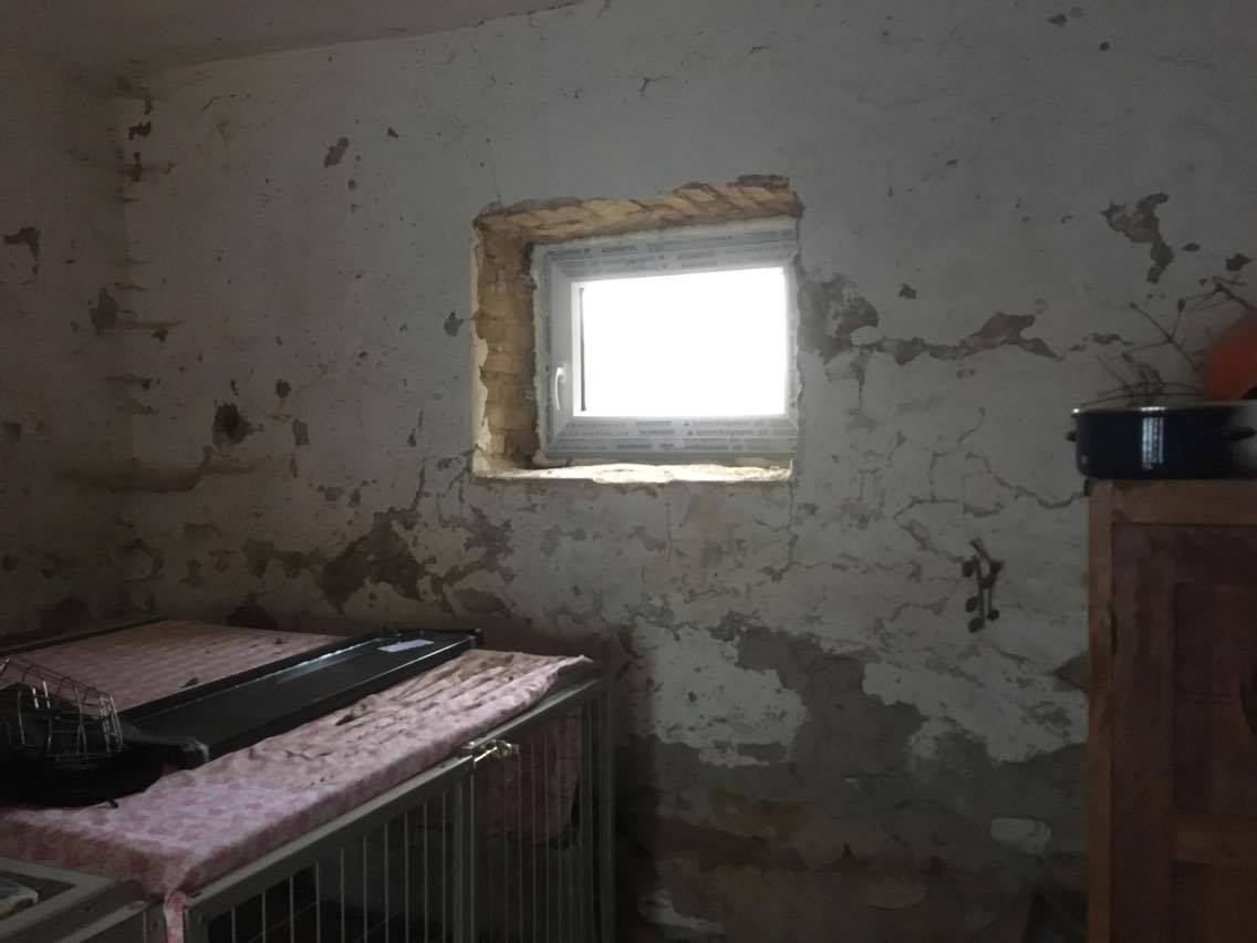 Okna a dvěře do nové psí místnosti z bývalé maštale - Naděje pro 4 packy