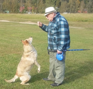 Podpůrná léčba adoptované fenky Míny