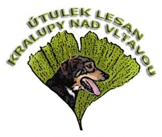 Veterinární péče - útulek Lesan
