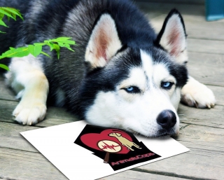 Materiální pomoci Animal Cops