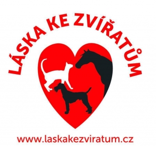 Úhrada části faktury za veterinární péči - Láska ke zvířatům