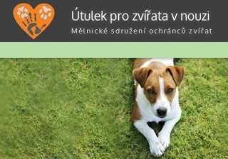Stelivo pro kočky - útulek Mělník